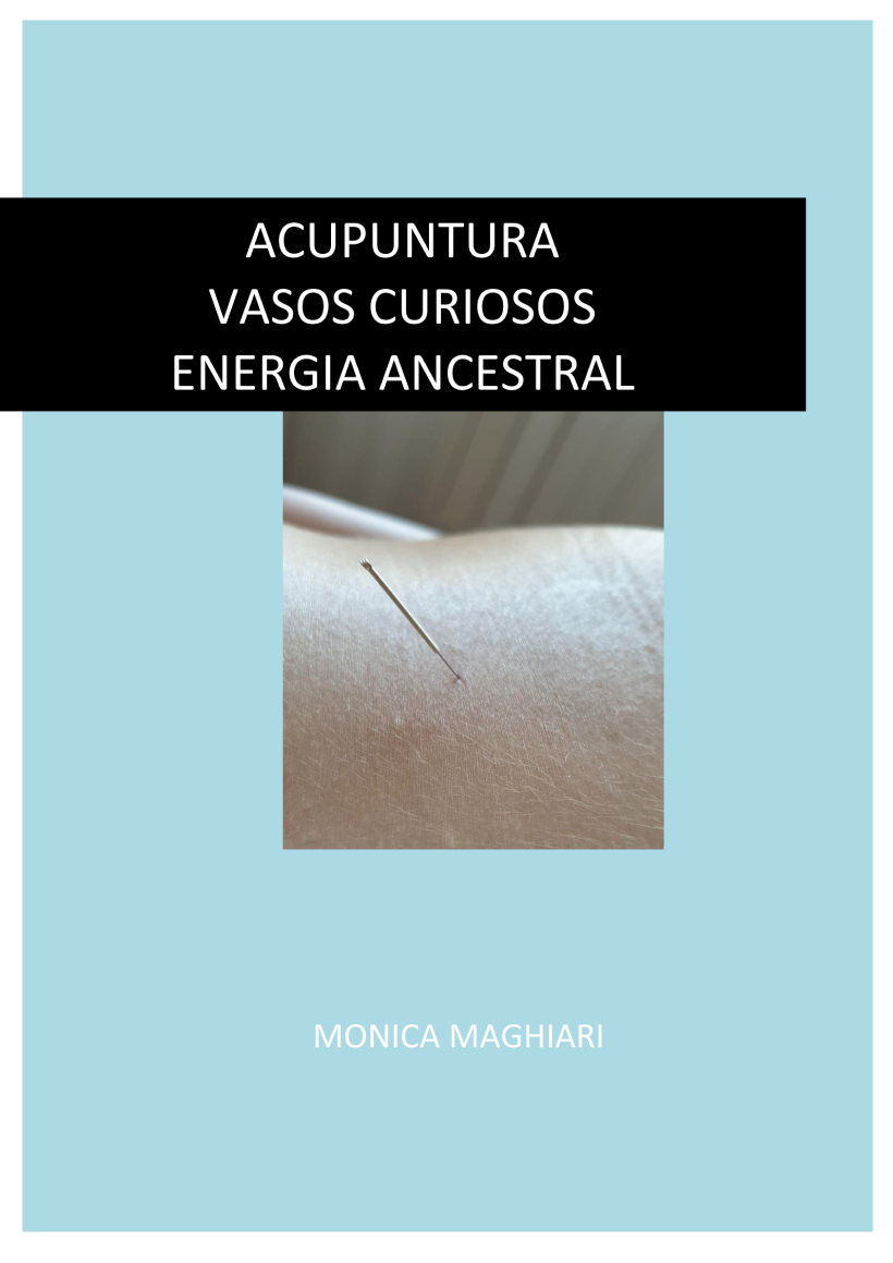 Libro - Acupuntura, vasos curiosos, energía ancestral